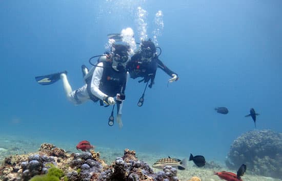 Scuba Diving at Grande Island — PADI - photo 1