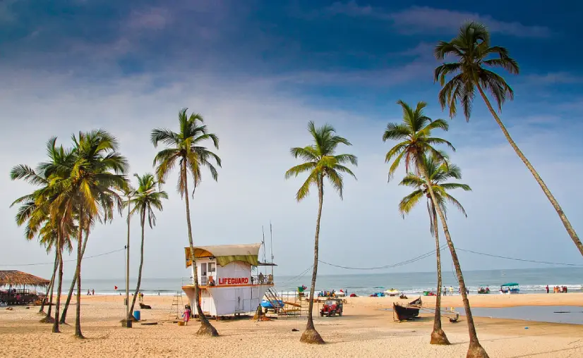 South Goa Sightseeing — Churches & Old Goa - photo 1