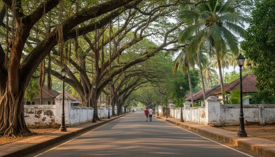 Wide shaded avenue lined with ancient banyan trees and low whitewashed stone walls in Old Goa.