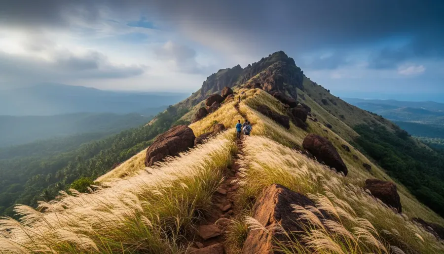Winding footpath climbing through tall grasses toward a rocky peak surrounded by mountain mist.